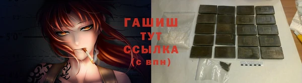 гидропоника Алзамай