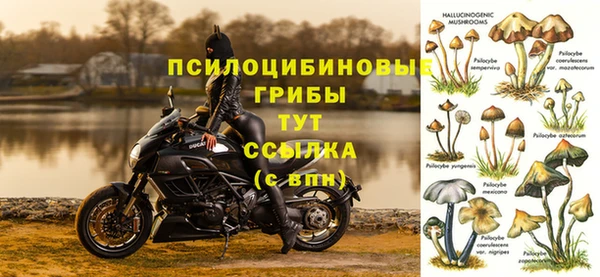 каннабис Алексеевка