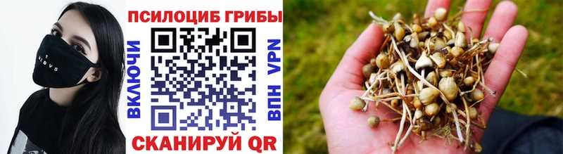 Галлюциногенные грибы GOLDEN TEACHER  Купить где  Котлас 